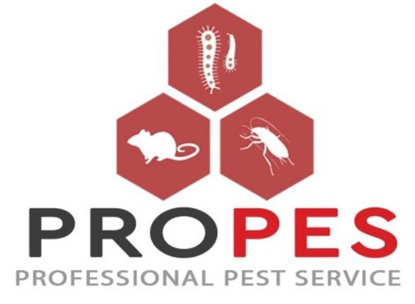Pro Pes | Professional Pest service